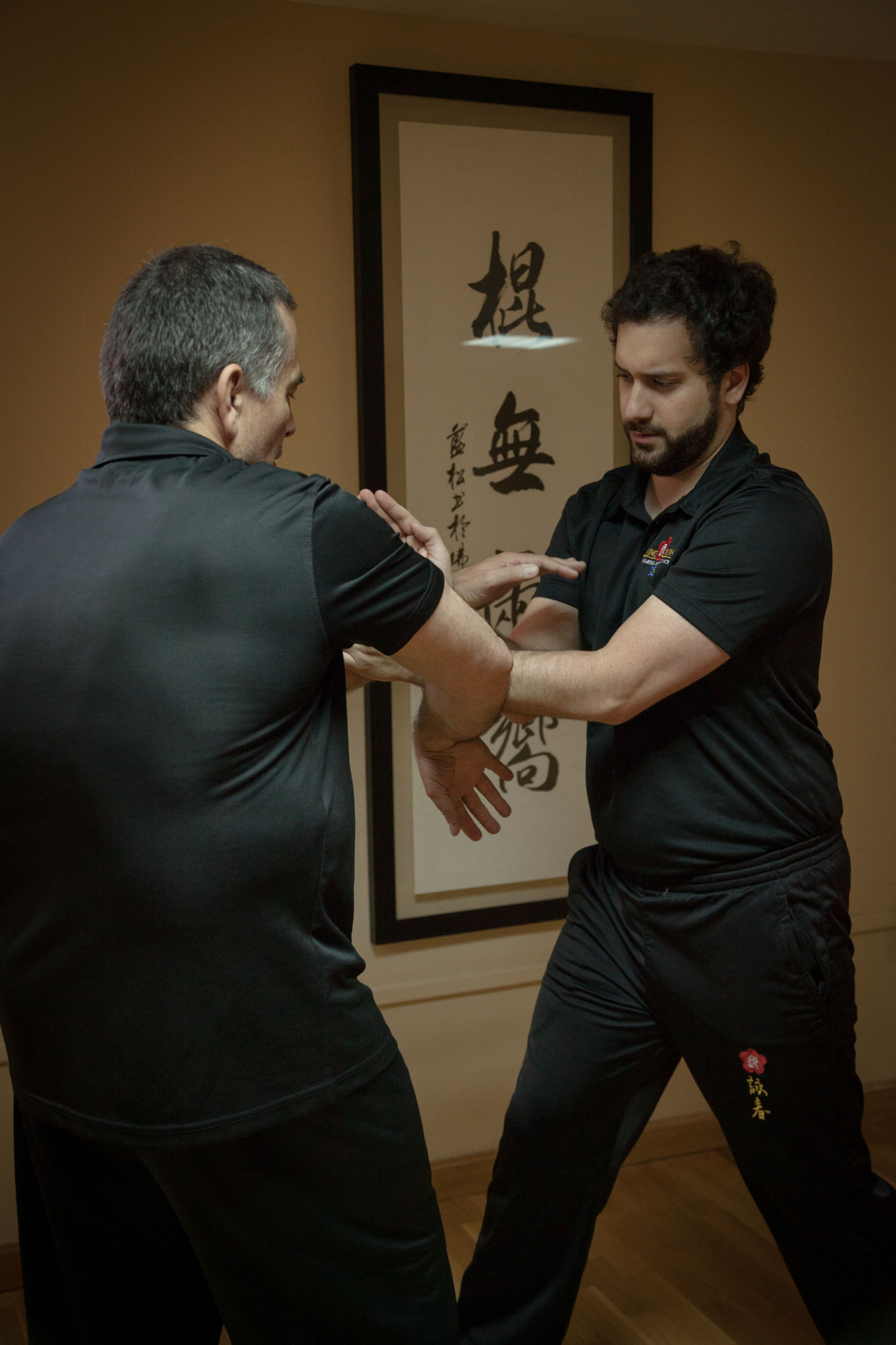 Chi Sao en el Sistema Wing Chun